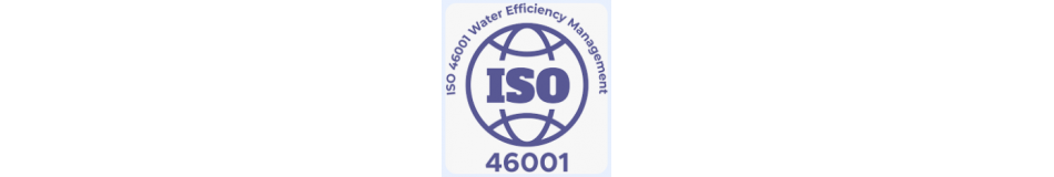 ISO46001 SVYS ISO46001 SVYS