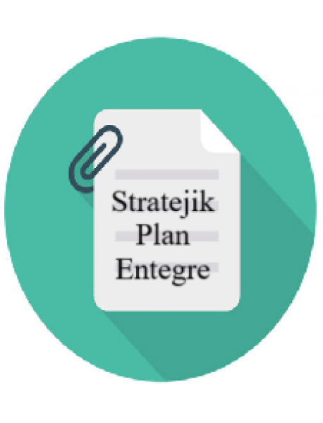 Form Analiz Stratejik plan (Entegre)
