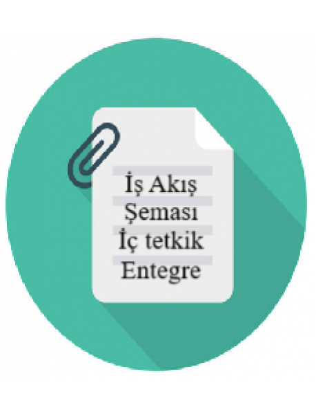 İş Akış Şeması İç Tetkik (Entegre)